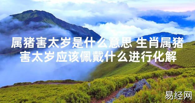 【太岁知识】属猪害太岁是什么意思 生肖属猪害太岁应该佩戴什么进行化解,最新太岁